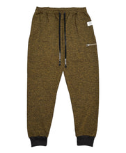 Load image into Gallery viewer, Midnight Moss Joggers