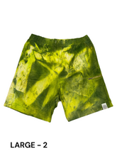 Load image into Gallery viewer, Moss Lands Corduroy Shorts (Light Green)